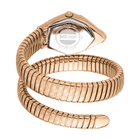 Just Cavalli Fashion Silver-tone Dial Ladies Watch JC1L303M0045