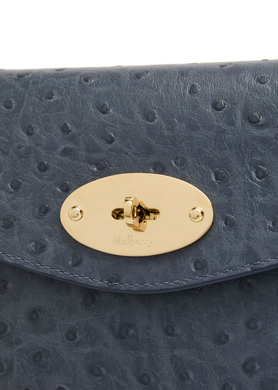 Mulberry Darley Ostrich Leather Pouch - Blue - One Size