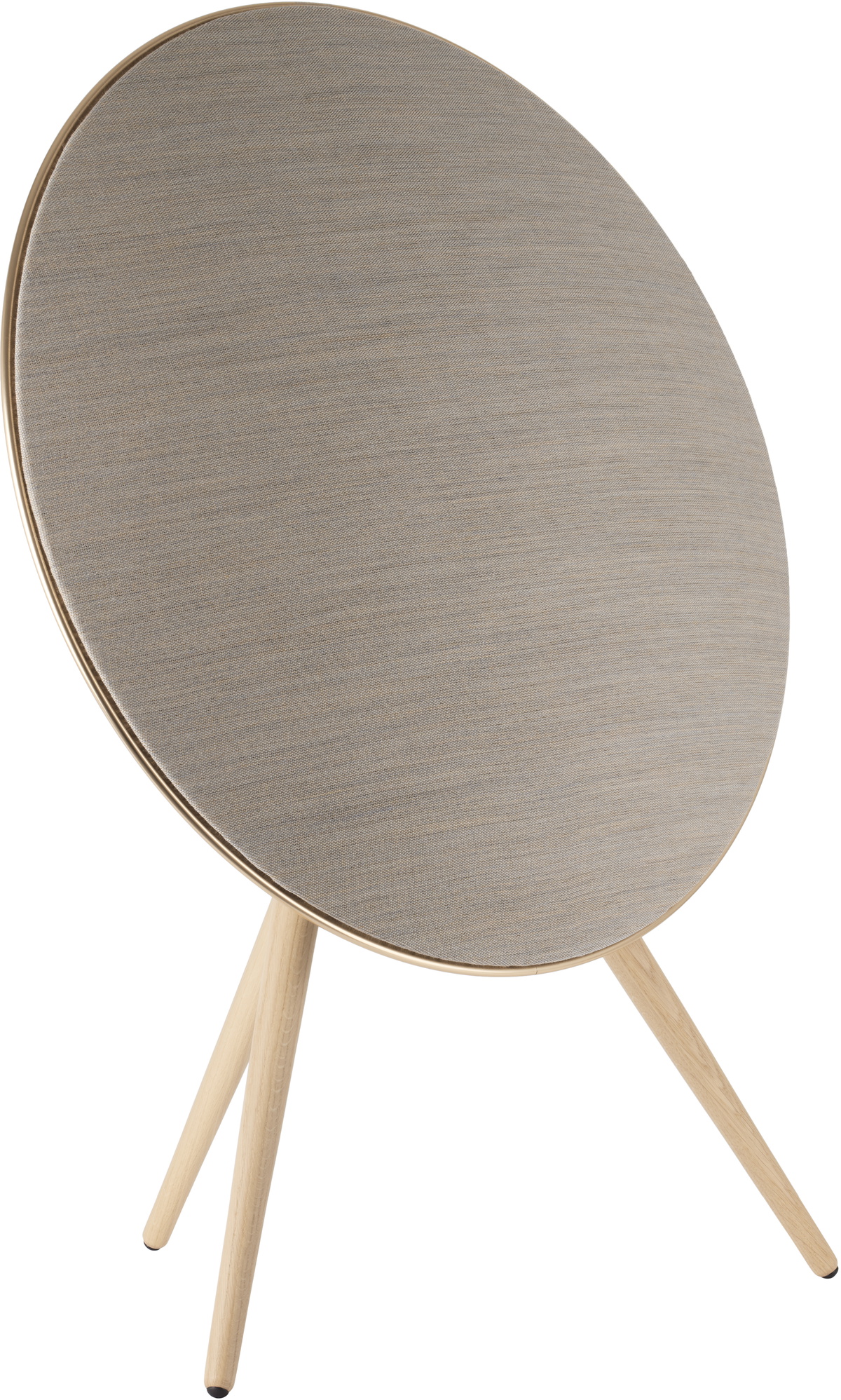 Bang & Olufsen Gray & Gold Beosound A9 Speaker