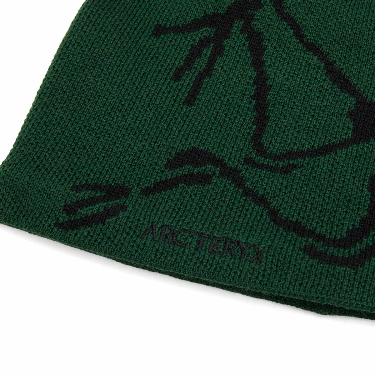 Arc'teryx Men's Bird Head Toque in Eden/Black Arc'teryx
