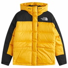The North Face Women's Hmlyn Down Parka Jacket in Yellow