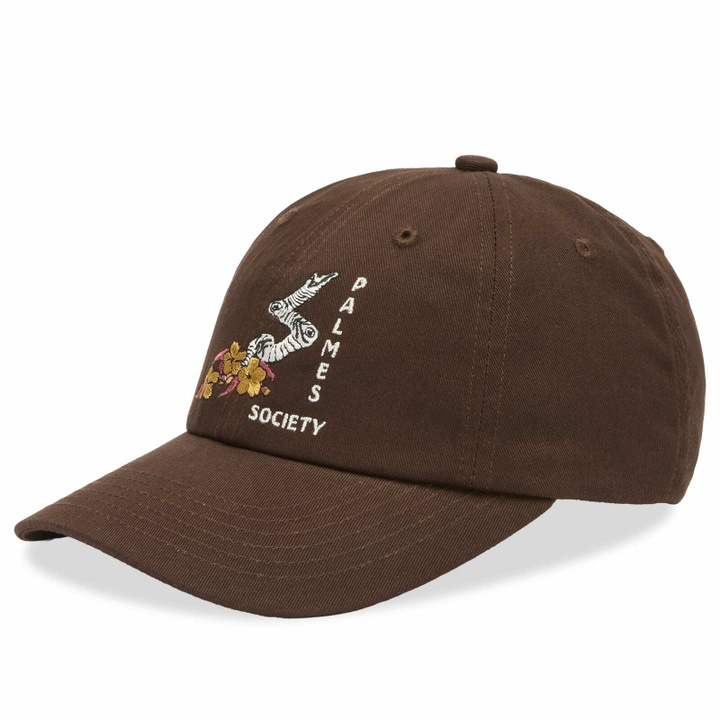 Photo: Palmes Men's Ramus 6-Panel Cap in Brown 