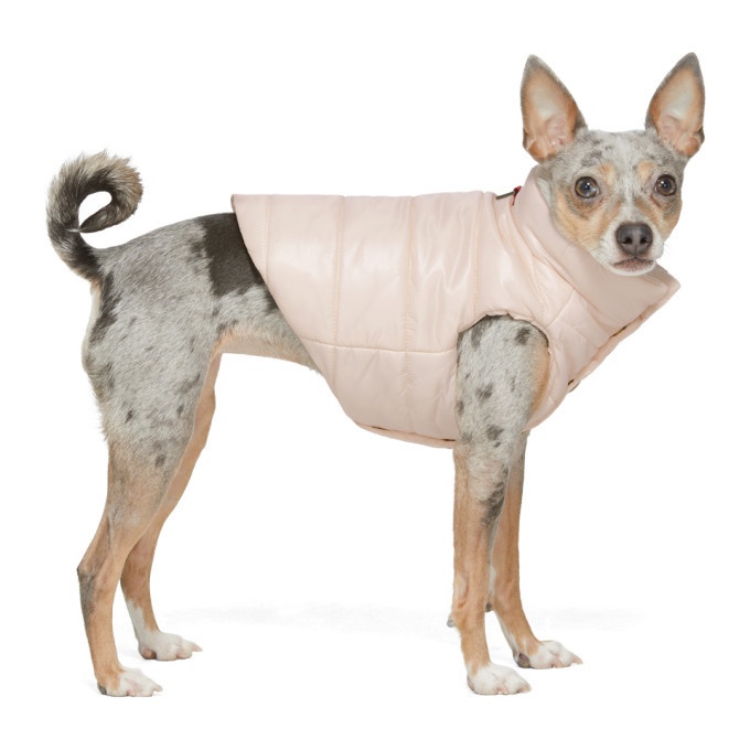 Photo: Moncler Genius Pink Poldo Dog Couture Edition Vest