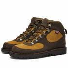 Danner Men's Cascade Crest Hiking Boot in Turkish Coffee/Moss Green