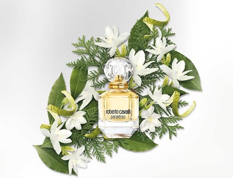 Paradiso / Roberto Cavalli EDP Spray 1.7 oz (50 ml) (W)