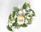 Paradiso / Roberto Cavalli EDP Spray 1.7 oz (50 ml) (W)