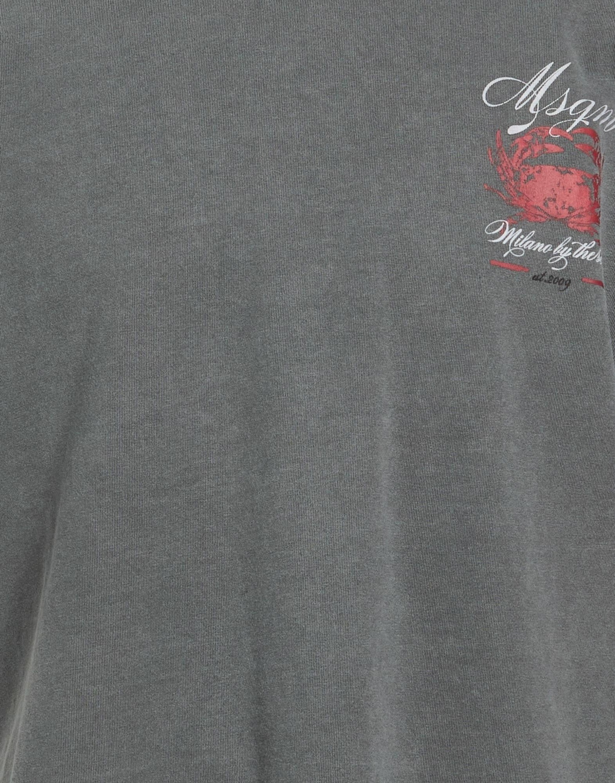 Msgm Mens T-shirt in Grey