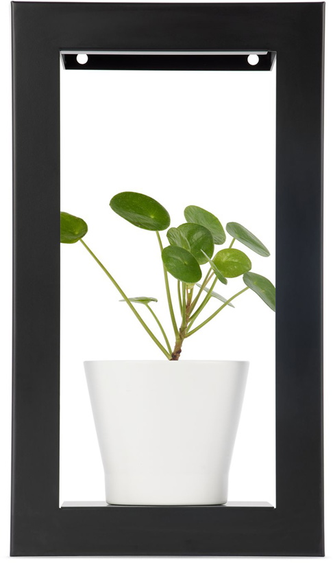 Photo: Modern Sprout Black Portrait Growframe Planter