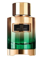 Carolina Herrera Unisex True Oud EDP 3.4 oz Fragrances 8411061998014