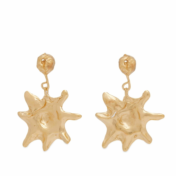 Photo: Simuero Women's Astro Earrings in Gold