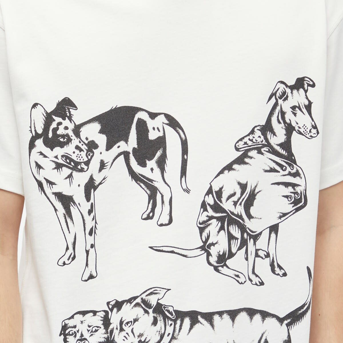 Skateboard Cafe Men's Pooch T-Shirt in Cream