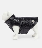 Moncler Genius - x Poldo Dog Couture dog coat
