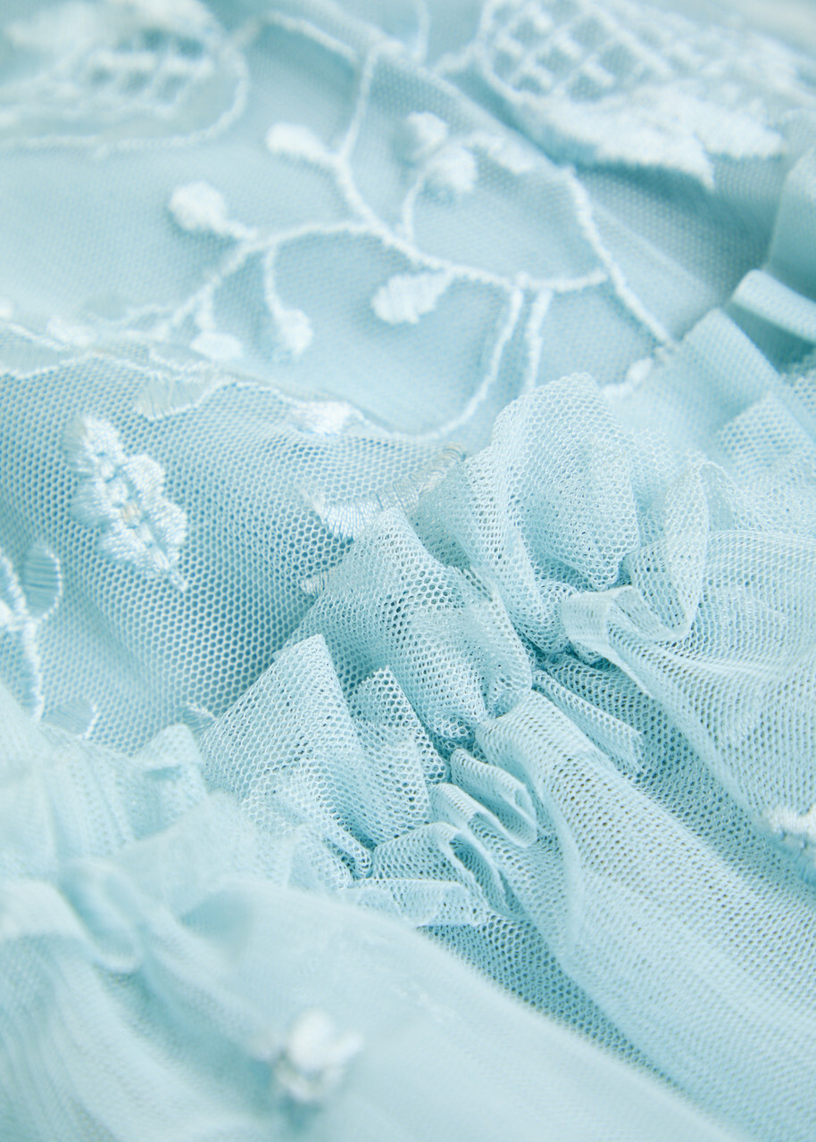 Needle & Thread Primrose Floral-embroidered Tulle Gown Blue
