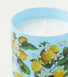 Dolce&Gabbana Casa Lemon scented candle