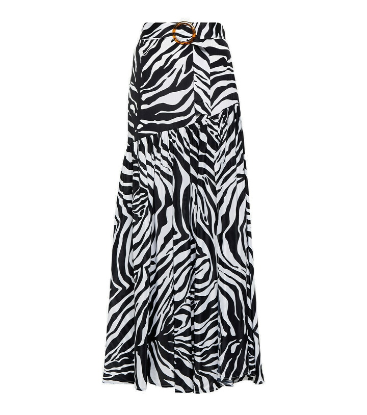 Photo: Alexandra Miro Tina zebra-print maxi skirt