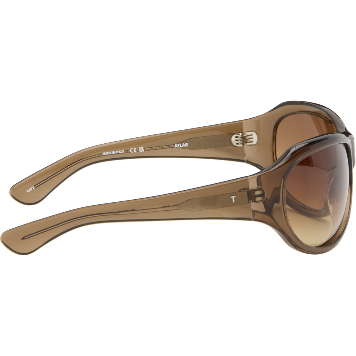 THISTLES Brown 'The Atlas' Sunglasses