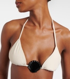 Same Shell bikini top