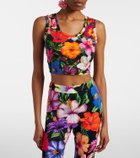 Dolce&Gabbana Floral cotton crop top