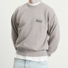 Aries Men's Mini Temple Sweatshirt in Grey