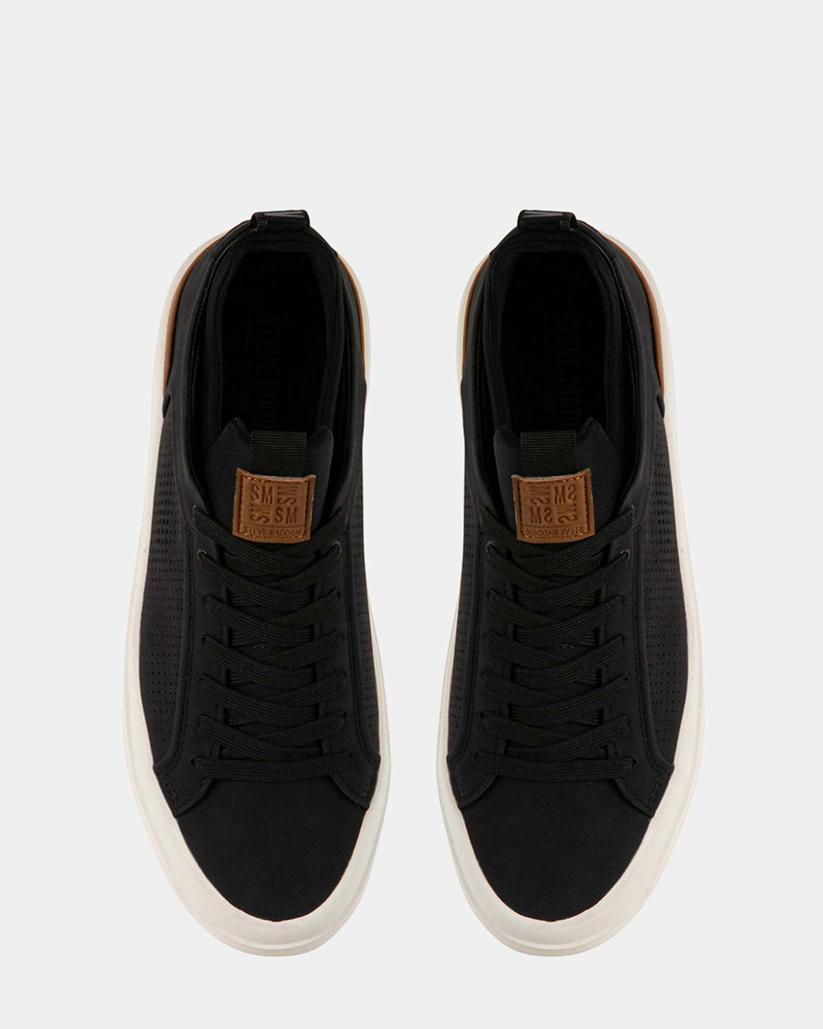 Steve Madden Oasys Sneakers in Black