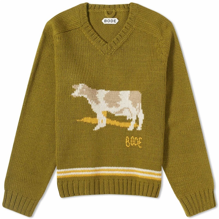 Photo: Bode Men's Cattle Sweater in Green