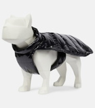 Moncler Genius - 6 Moncler 1017 ALYX 9SM dog coat