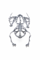Diesel Skeleton-effect metal bracelet - Bracelets Womens in Silver