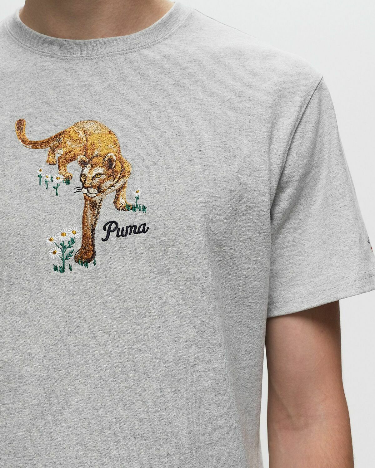 Puma X Noah Graphic Tee Grey Shortsleeves Puma