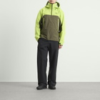 Arc'teryx Men's Beta AR Gore-Tex Jacket in Mantis/Tatsu