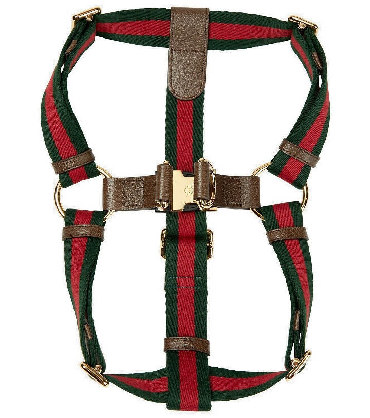 Photo: Gucci - Web Stripe L/XL faux leather dog harness