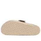 Birkenstock Men's Loma in Taupe Suede
