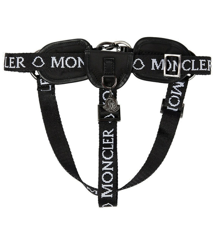 Photo: Moncler Genius x Poldo Dog Couture logo dog harness