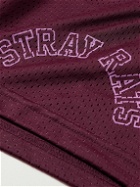 Stray Rats - Arch Straight-Leg Logo-Print Mesh Shorts - Burgundy