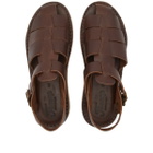 Fracap D034 Sandal in Brown