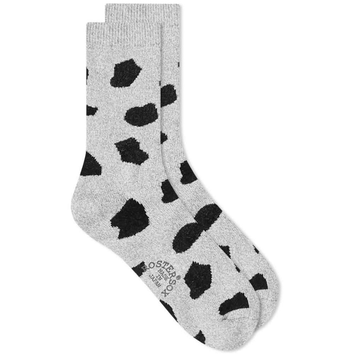 Photo: Rostersox Animal Socks in Grey