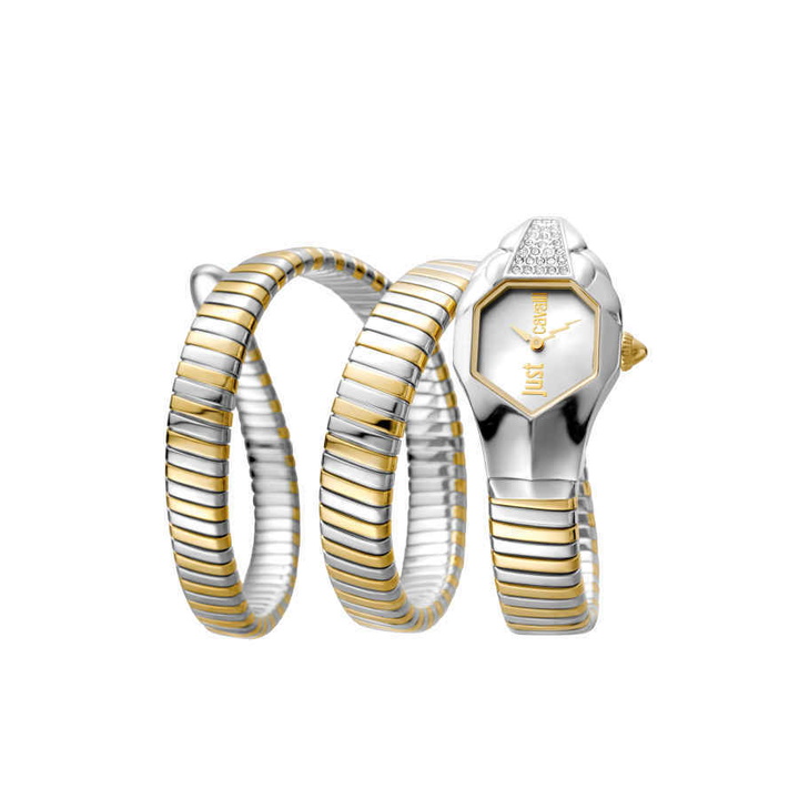 Photo: Just Cavalli Fashion Silver Dial Ladies Watch JC1L022M0045