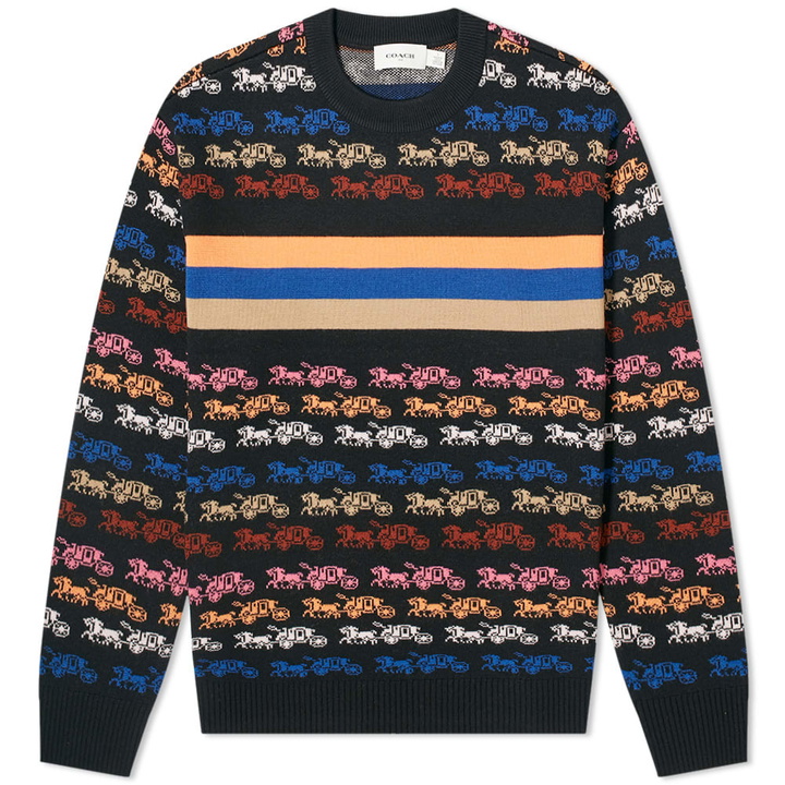 Photo: Coach Rainbow Crew Knit
