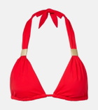 Heidi Klein Petalia bikini top
