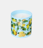 Dolce&Gabbana Casa Lemon scented candle
