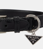 Prada Brushed leather dog collar