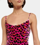 Pucci - Leopard-print bodysuit