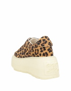 Casadei Womens Sneakers in Brown