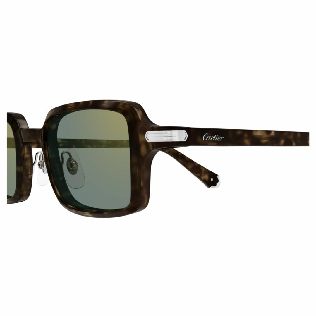 Cartier Eyewear Ct0539s002