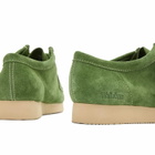 Clarks Originals Men's Wallabee in Green Suede