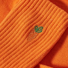 Carrots by Anwar Carrots Men's Signature Carrot Crew Sock in Orange