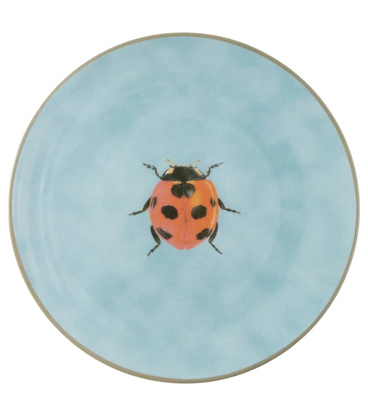 Photo: Les-Ottomans Insetti Ladybug plate