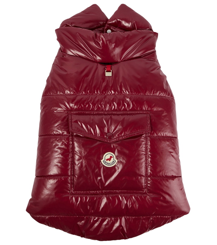 Photo: Moncler Moncler Poldo Dog Couture dog coat
