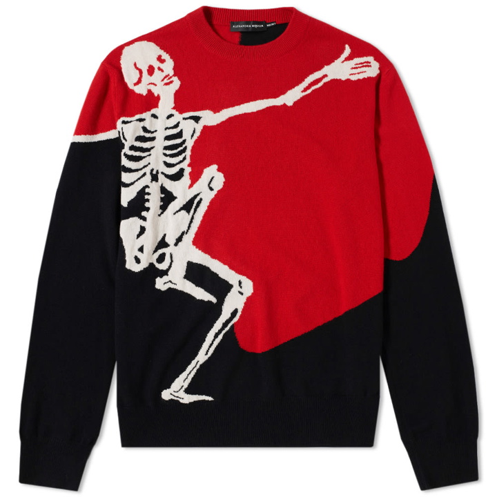 Photo: Alexander McQueen Dancing Skeleton Crew Knit