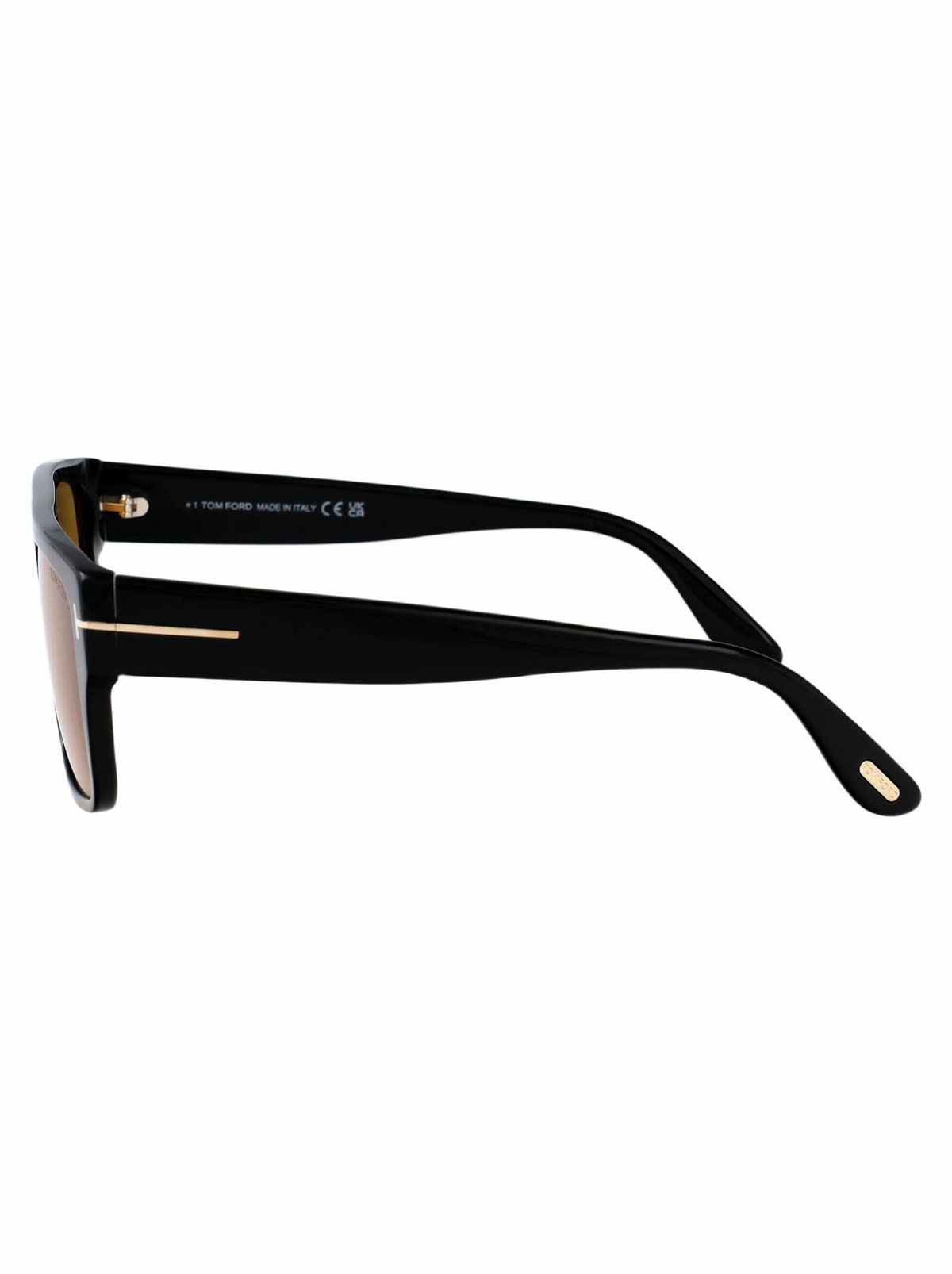 Tom Ford Eyewear Dunning-02 Sunglasses