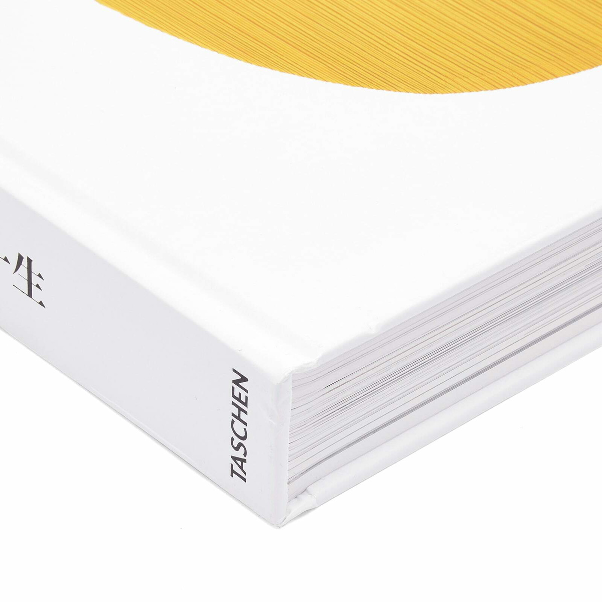 Taschen Issey Miyake in Midori Kitamura 